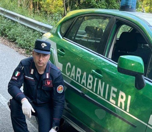 San Giorgio Morgeto – cuccioli in una scarpata salvati da carabinieri forestali