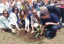 Arriva a Taurianova l’Albero di Falcone: il Comune di nuovo al fianco di Carabinieri, scuole e l’associazionismo