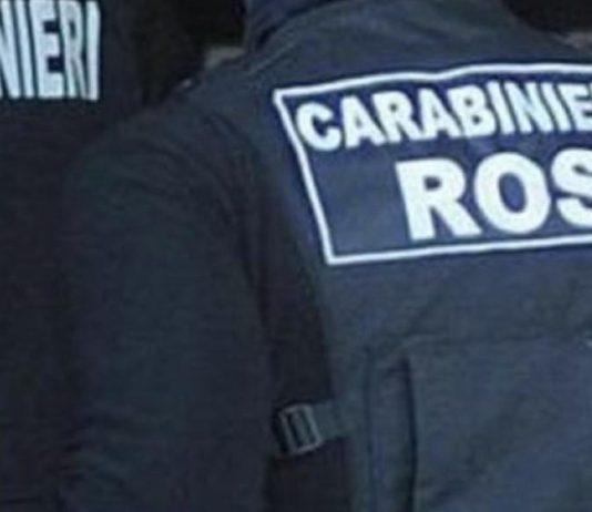 Associazione mafiosa, estorsione e reati elettorali: 14 misure cautelari