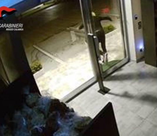 Furti notturni in attività commerciali – arrestato 42enne