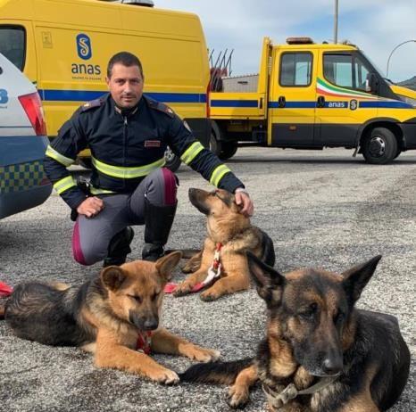 #Senontiportononparto – la campagna della polizia di stato contro l’abbandono degli animali