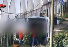 Producevano sostanze stupefacenti simulando coltivazione di canapa sativa –