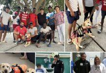 La storia di Giàncarlo e Mae volontari e promotori della pet therapy