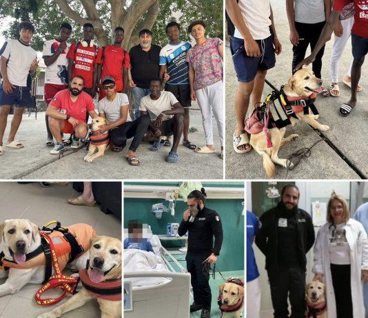 La storia di Giàncarlo e Mae volontari e promotori della pet therapy