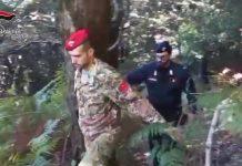 Rinvenute oltre mille piante di marijuana – un arresto