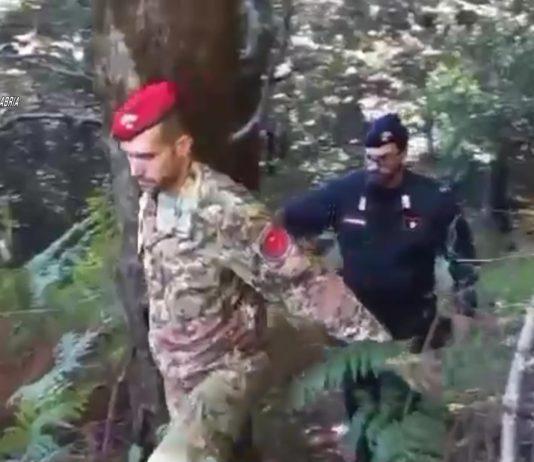 Rinvenute oltre mille piante di marijuana – un arresto