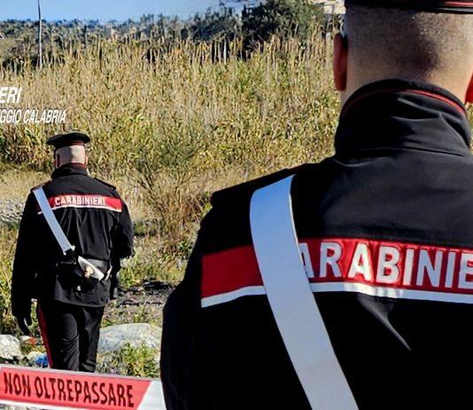 Tenta di appiccare incendio boschivo – arrestato in flagranza dai carabinieri