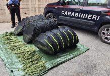 Scoperti e sequestrati 30 kg di cannabis