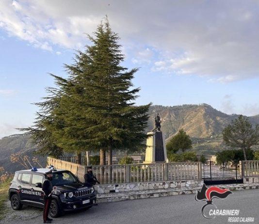 Furto di energia e incendi boschivi – denunciati due uomini