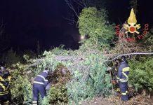 Maltempo in Calabria – forti raffiche di vento: crolla un semaforo. Diversi interventi vigili del fuoco