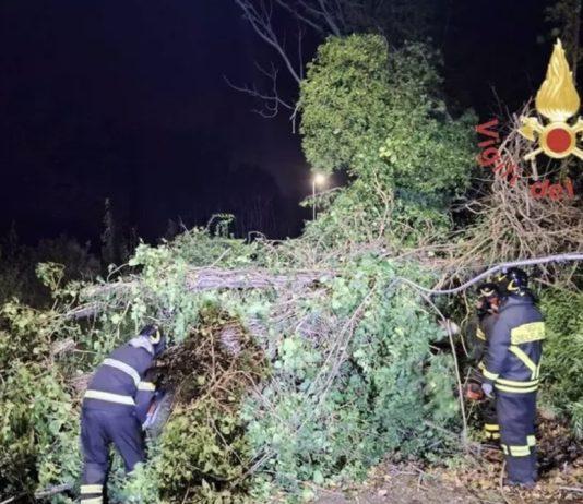Maltempo in Calabria – forti raffiche di vento: crolla un semaforo. Diversi interventi vigili del fuoco