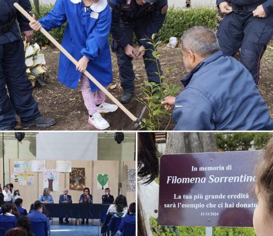 Rosarno – albero in ricordo di Filomena Sorrentino