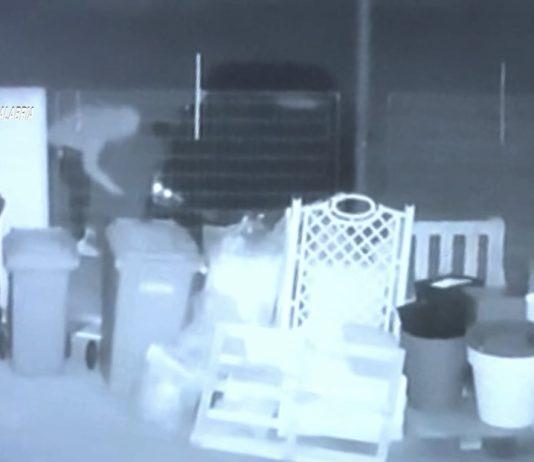 Serie di intimidazioni e danneggiamenti – identificato e denunciato responsabile