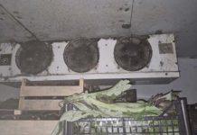 Frutta e verdura avariata e conservata tra melma e giacigli per i dipendenti – chiuso esercizio commerciale