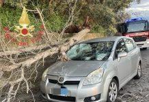 Calabria – albero crolla su auto: due feriti lievi