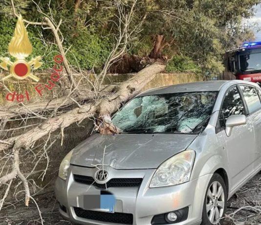 Calabria – albero crolla su auto: due feriti lievi