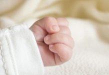 Si è spenta a 3 mesi e mezzo Stephanie – era stata trasferita dalla Calabria alla Sicilia