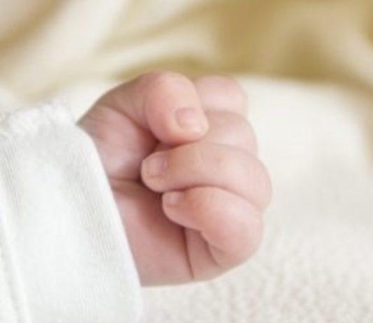 Si è spenta a 3 mesi e mezzo Stephanie – era stata trasferita dalla Calabria alla Sicilia