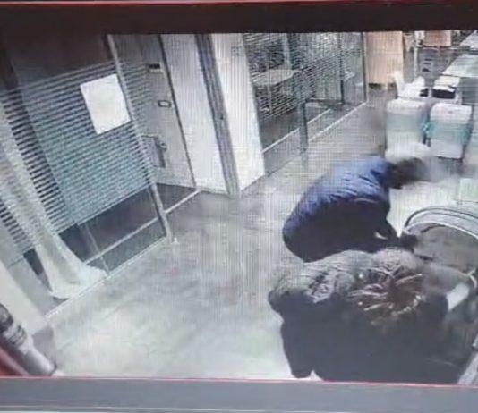Neonata rapita a Cosenza – la clinica contro la madre: “Incauto ed avventato comportamento”