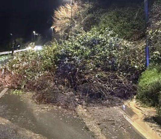 Smottamento terreno travolge auto a Jonadi – conducente soccorso dai vigili del fuoco