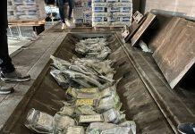 Fermato in autostrada con 137 kg di cocaina – arrestato 40enne di Polistena