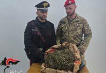 Controlli serrati dei Carabinieri – rinvenuto 1,5 kg di marijuana