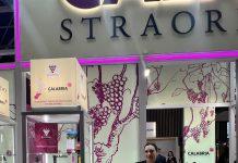 Il Consorzio Bivongi alla Fiera Wine Paris 2025: Tante le iniziative allo Stand H114 Hall 6