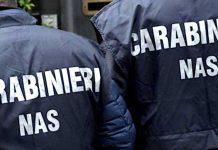 Carenze igienico sanitarie -sanzioni a panificio