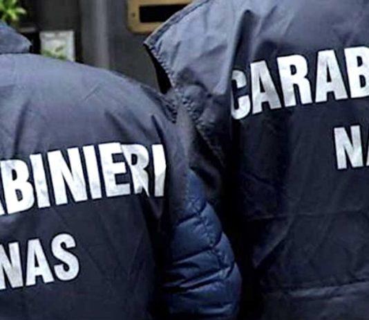 Carenze igienico sanitarie -sanzioni a panificio