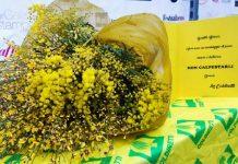 Coldiretti Calabria festa della donna: Grazie alle donne imprenditrici amiche della terra. Cinque calabresi su dieci regalano fiori o mimose