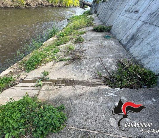 Gioia Tauro – controlli per la tutela dell’ambiente e della salute: sei denunce