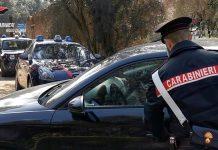 Gioia Tauro – cane maltrattato e denutrito salvato da carabinieri: una persona denunciata
