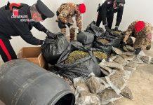 Scoperto deposito stoccaggio marijuana: sequestrati 30 kg: arrestato 35enne