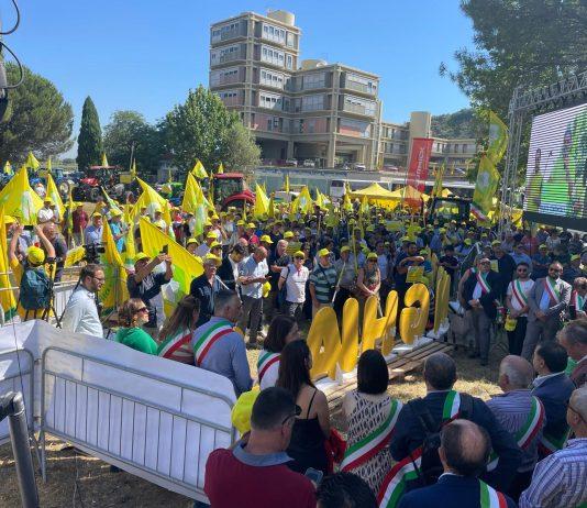 Coldiretti – emergenza cinghiali