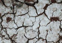 Calabria – Cdm proroga stato emergenza siccità