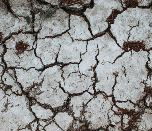 Calabria – Cdm proroga stato emergenza siccità