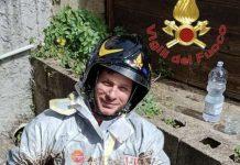 Cuccioli di cane in tubo di scarico – recuperati da Vigili del fuoco