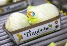 Il Consorzio Finocchio IGP di Isola Capo Rizzuto tra i 5 consorzi di tutela accolti da Origin Italia