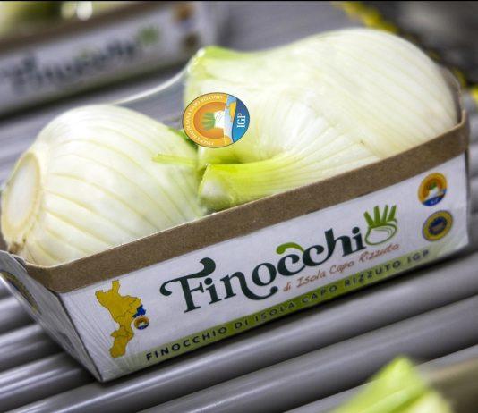 Il Consorzio Finocchio IGP di Isola Capo Rizzuto tra i 5 consorzi di tutela accolti da Origin Italia
