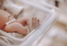 Inps – bonus di 1000 euro per i nuovi nati 2025