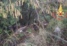 Calabria – perdono l’orientamento nel bosco: salvati da Vigili del fuoco