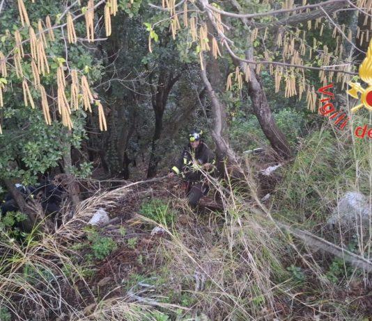 Calabria – perdono l’orientamento nel bosco: salvati da Vigili del fuoco