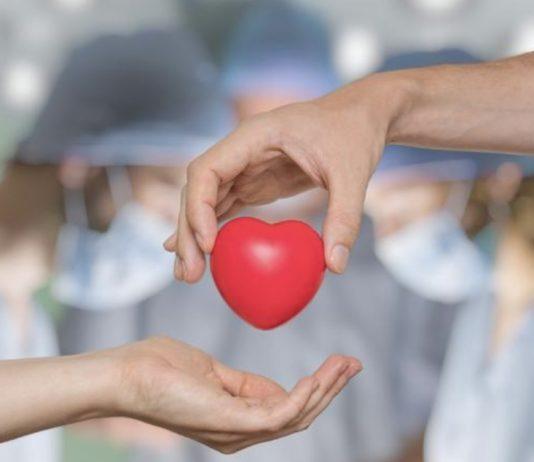 Bagnara Calabra comune più generoso nella donazione organi