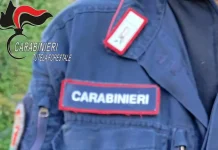 Merli detenuti illegalmente e scarichi fognari abusivi – una denuncia