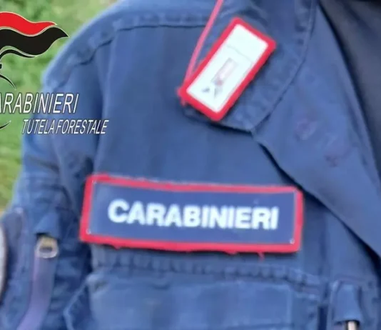 Merli detenuti illegalmente e scarichi fognari abusivi – una denuncia