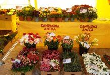 Coldiretti Calabria – Santa Pasqua, i fiori impreziosiscono le case degli italiani