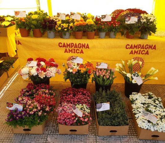 Coldiretti Calabria – Santa Pasqua, i fiori impreziosiscono le case degli italiani