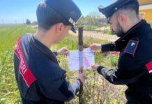 Scoperte e sequestrate due discariche abusive