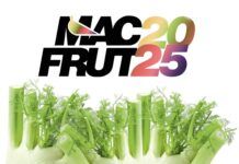 Il Consorzio Finocchio IGP di Isola Capo Rizzuto rappresenta la Calabria al Macfrut