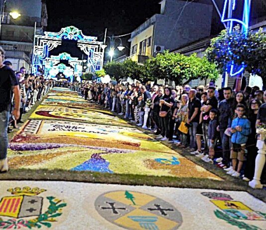 Infiorata di Taurianova 2025: escluso il logo della Città Metropolitana di Reggio Calabria
